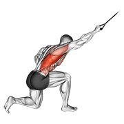 Band kneeling one arm pulldown animation