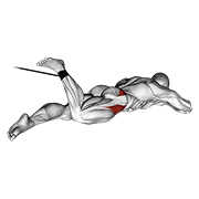 Band lying hip internal rotation animation