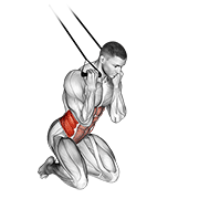 Band kneeling twisting crunch animation