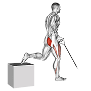 Band one arm single leg split squat animation