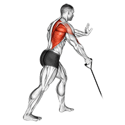 Band one arm standing low row animation