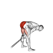 Band pull through animation