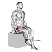 Band seated hip internal rotation animation