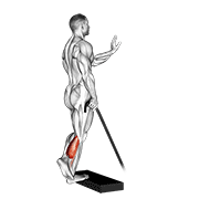Band single leg calf raise animation