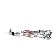 Band lying straight leg raise animation