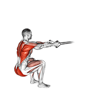 Band squat row animation