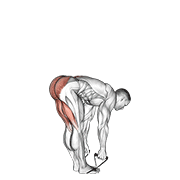 Band straight leg deadlift animation