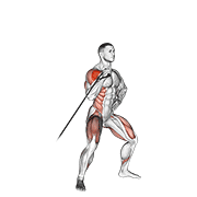 Band twisting overhead press animation
