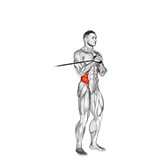 Band vertical pallof press animation