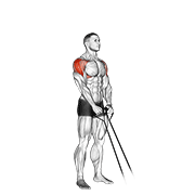 Band y-raise animation