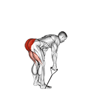 Band straight back stiff leg deadlift animation
