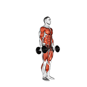 Dumbbell burpee animation