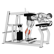 Lever donkey calf raise animation