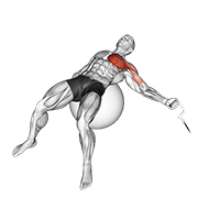 Cable one arm fly on exercise ball animation