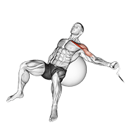 Cable one arm incline fly on exercise ball animation