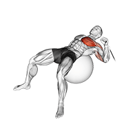Cable one arm press on exercise ball animation