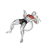 Cable press on exercise ball animation