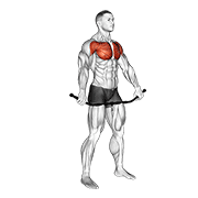 Chest and front of shoulder stretch animation