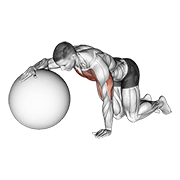 Chest stretch with exercise ball animation