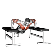 Drop push up animation