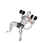 Dumbbell incline press on exercise ball animation