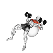 Dumbbell press on exercise ball animation