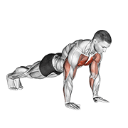 Plyo push up animation
