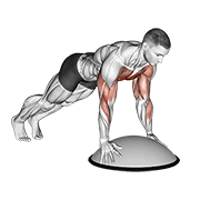 Push up on bosu ball animation