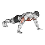 Wide hand push up animation