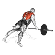 Barbell reverse grip incline bench row animation
