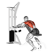 Cable incline bench row animation