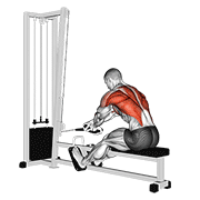 Cable rope crossover seated row animation