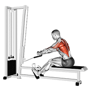 Cable rope elevated seated row animation