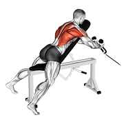 Cable rope extension incline bench row animation