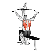 Cable wide grip rear pulldown behind neck animation