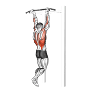 Chin-up animation