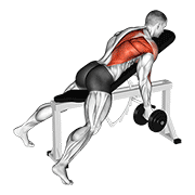 Dumbbell reverse grip incline bench one arm row animation