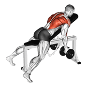 Dumbbell reverse grip incline bench two arm row animation