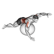 Exercise ball alternating arm ups animation