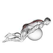 Exercise ball back extension with arms extended animation