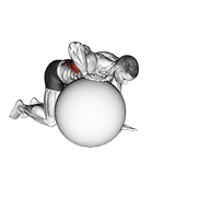 Exercise ball lat stretch animation