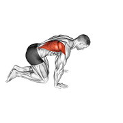 Kneeling lat stretch animation