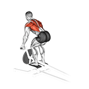 Lever t-bar reverse grip row animation