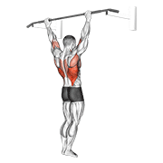 Wide grip rear pull-up animation