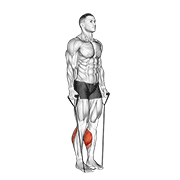 Band two legs calf raise - (band under both legs) v. 2 animation