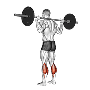 Barbell floor calf raise animation