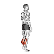 Bodyweight standing calf raise animation