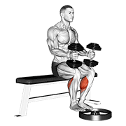Dumbbell seated calf raise animation