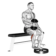 Dumbbell seated one leg calf raise - hammer grip animation