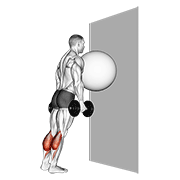 Exercise ball on the wall calf raise animation